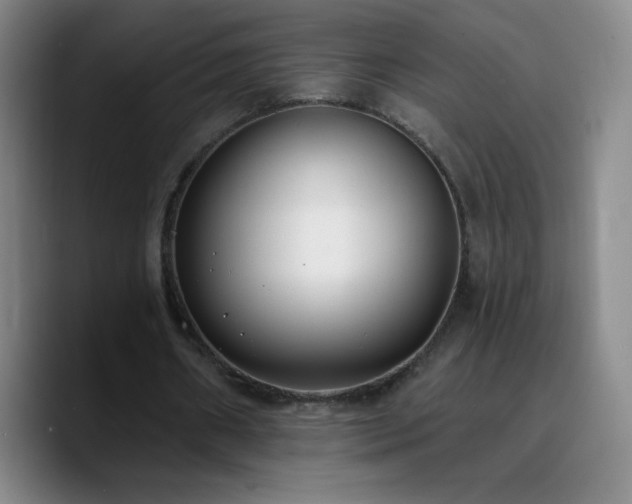 X0000090750482200707201452