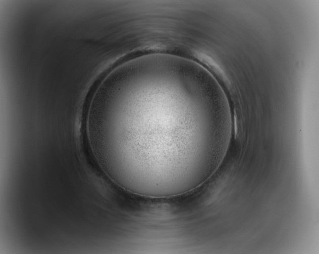 X0000090750483200707201452