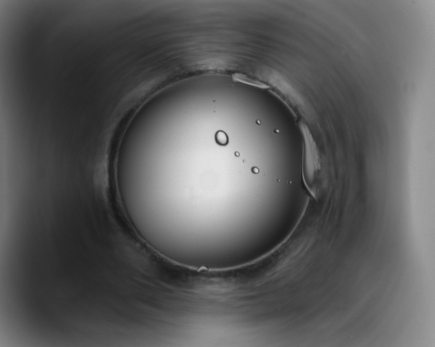 X0000090750486200707201452
