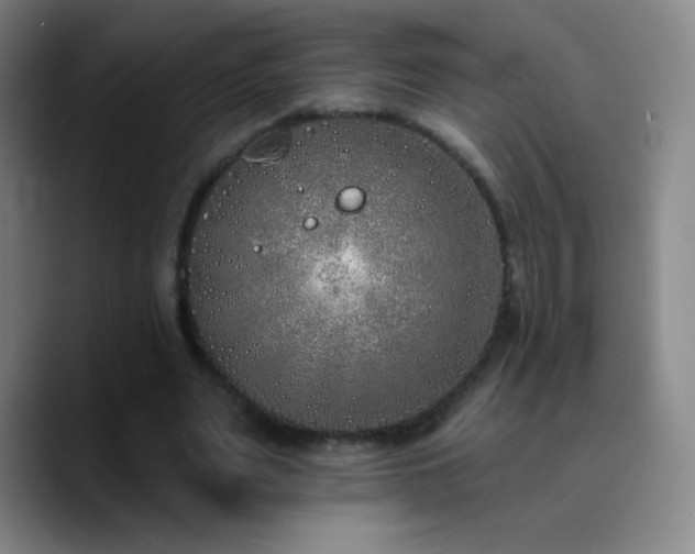 X0000090750487200707201452