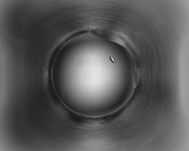 X0000090750488200707201452