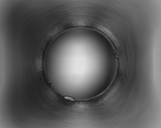 X0000090750489200707201452