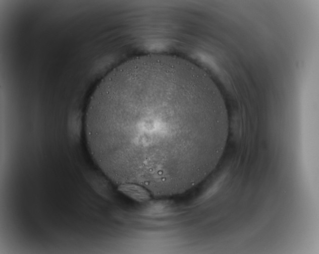X0000090750495200707201452