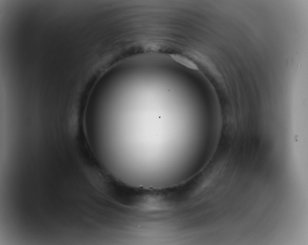 X0000090750496200707201452