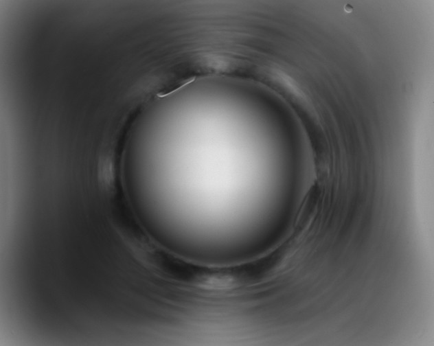 X0000090750500200707201452