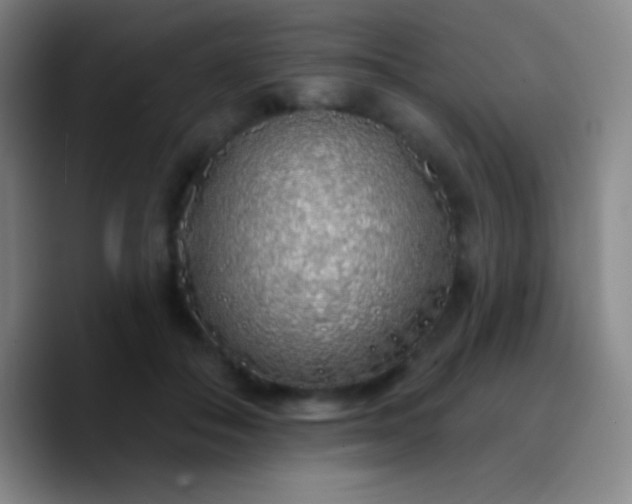 X0000090750506200707201452