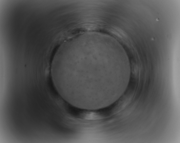 X0000090750507200707201452