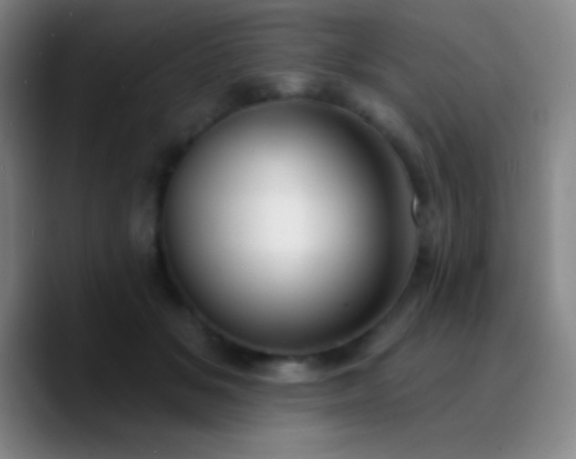 X0000090750509200707201452