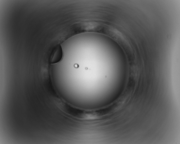 X0000090750510200707201452