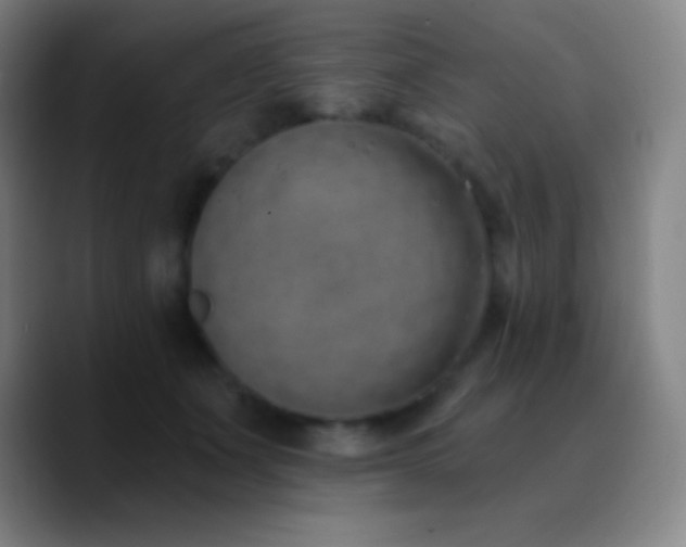 X0000090750511200707201452