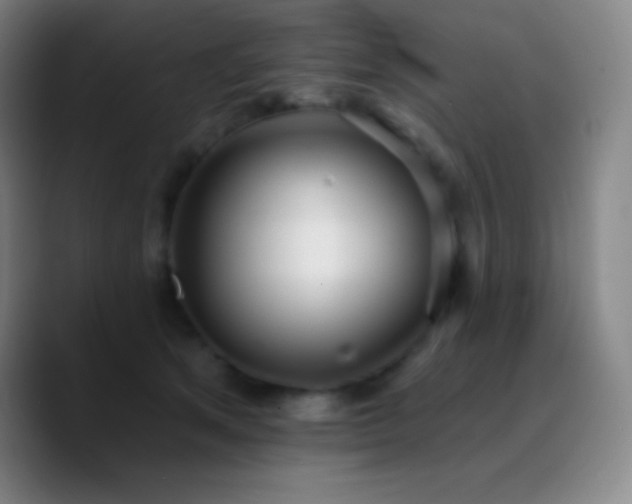 X0000090750513200707201452