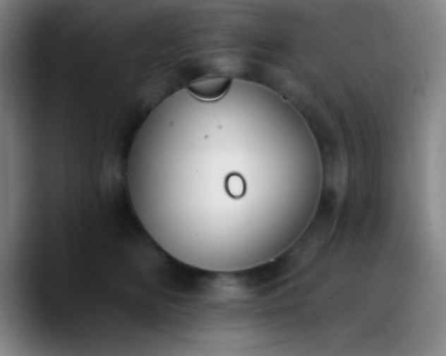 X0000090750518200707201452