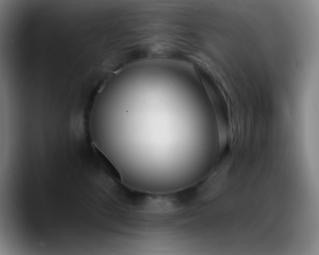 X0000090750520200707201452