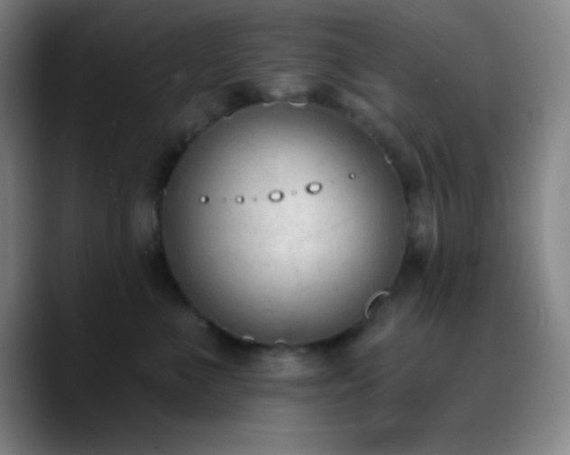 X0000090750523200707201452