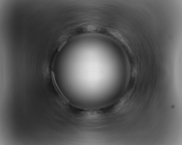 X0000090750524200707201452