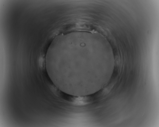 X0000090750527200707201452