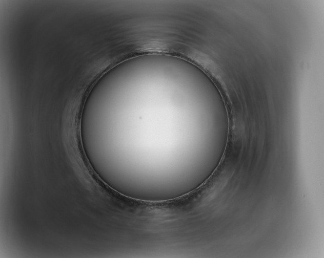 X0000090750529200707201451