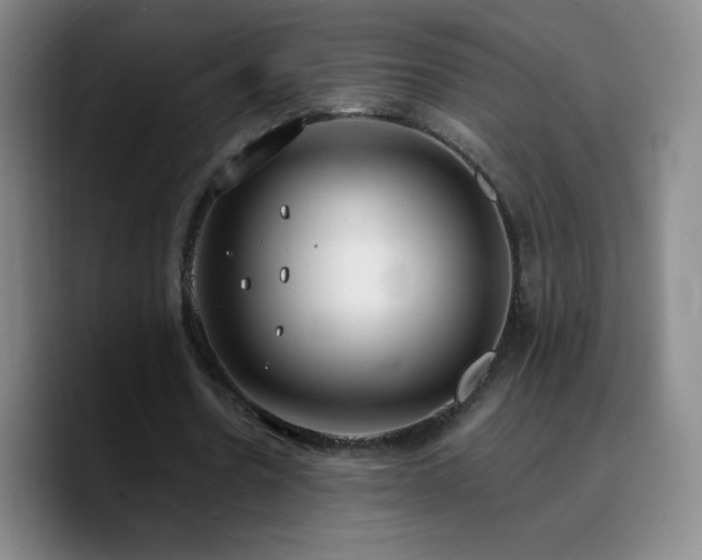 X0000090750530200707201451