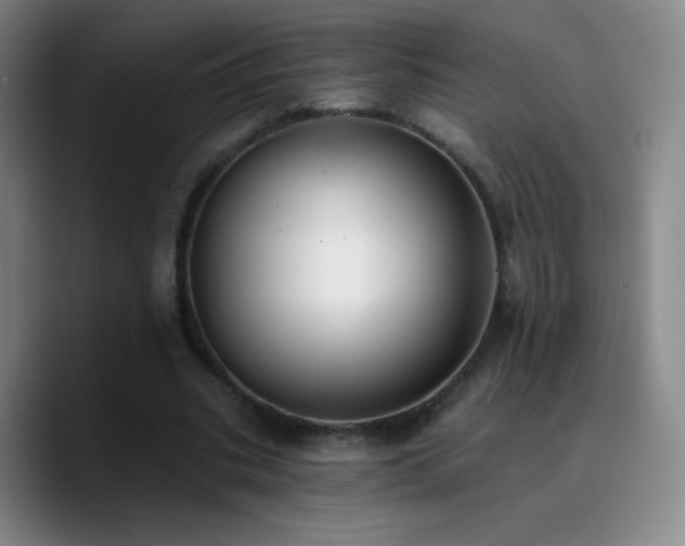 X0000090750535200707201451