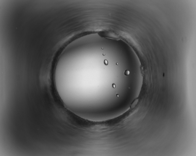X0000090750536200707201451