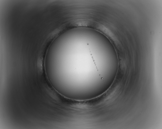 X0000090750537200707201451