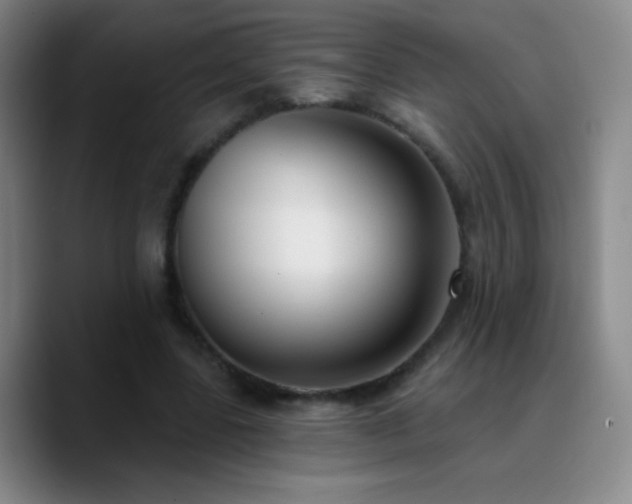 X0000090750539200707201451