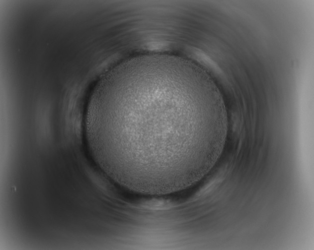 X0000090750542200707201451