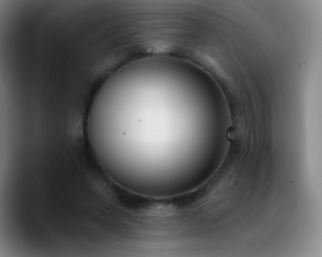 X0000090750543200707201451