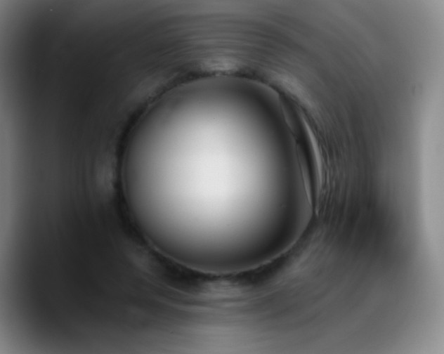 X0000090750544200707201451