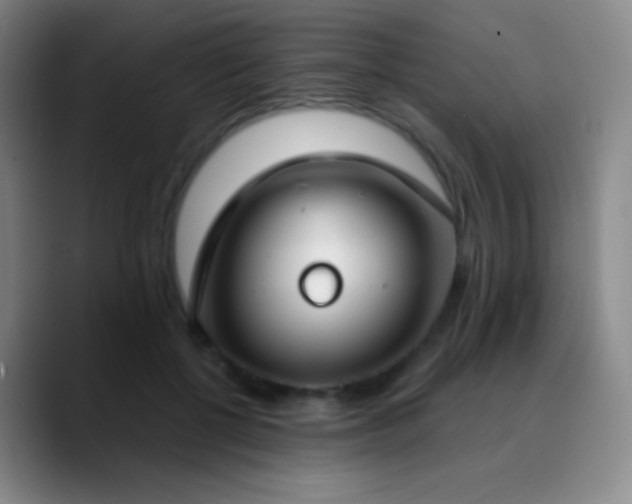 X0000090750552200707201451