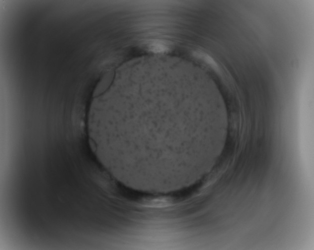X0000090750553200707201451