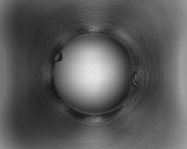 X0000090750554200707201451
