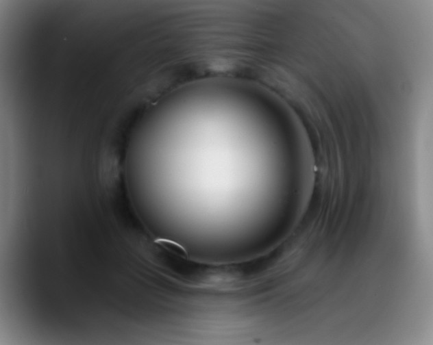 X0000090750555200707201451