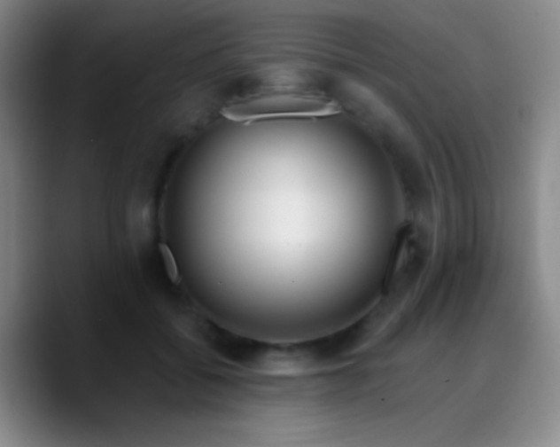 X0000090750556200707201451
