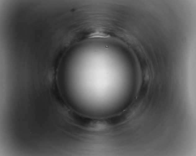 X0000090750559200707201452