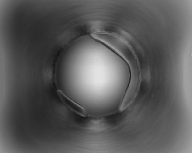 X0000090750560200707201452