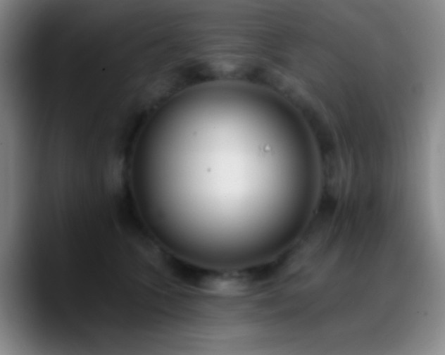 X0000090750563200707201452