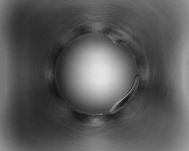 X0000090750564200707201452