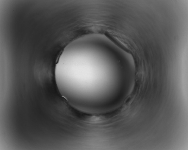 X0000090750566200707201452