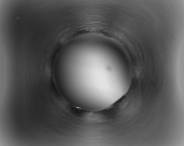 X0000090750568200707201452
