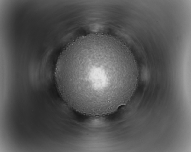 X0000090750569200707201452