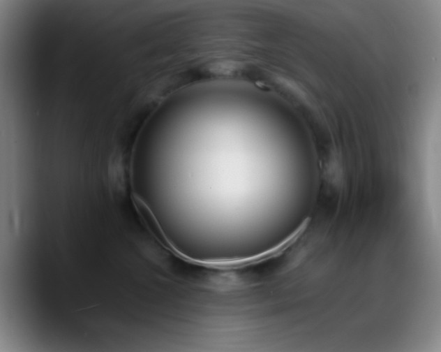 X0000090750572200707201452