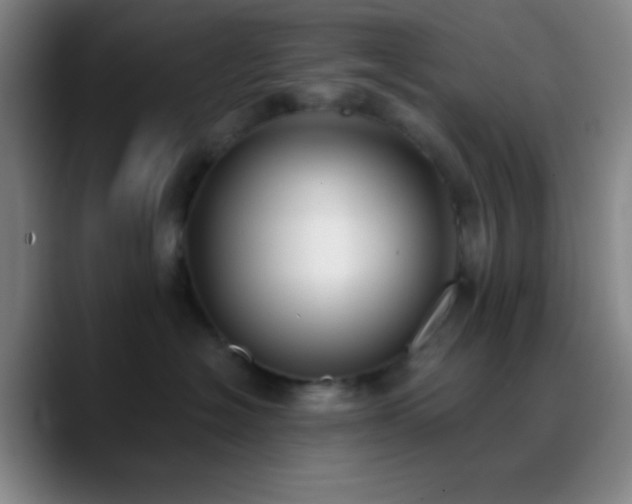 X0000090750574200707201452
