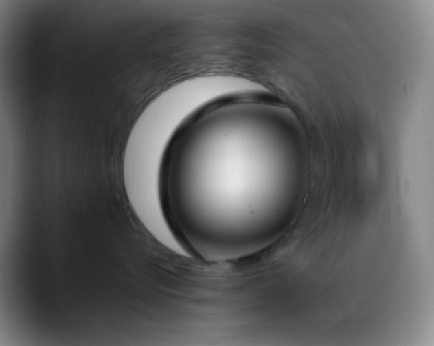 X0000090750576200707201452