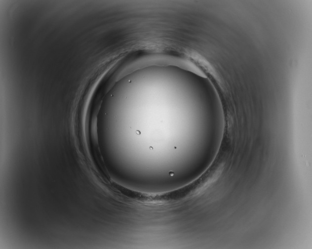 X0000090750581200707201451