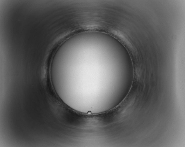 X0000090750583200707201451