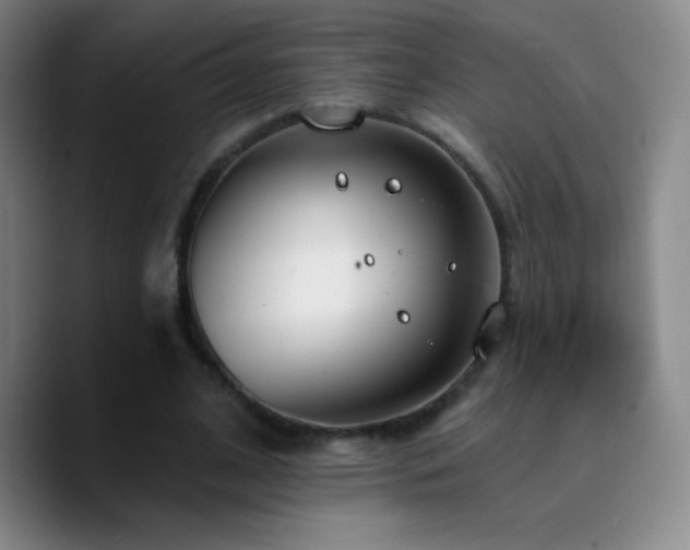 X0000090750584200707201451