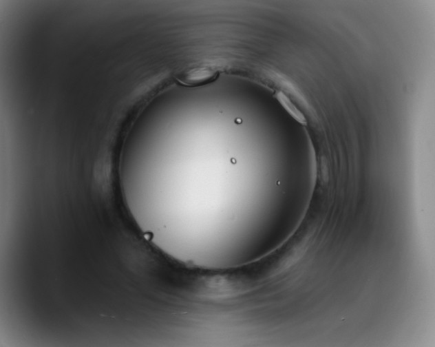 X0000090750588200707201451