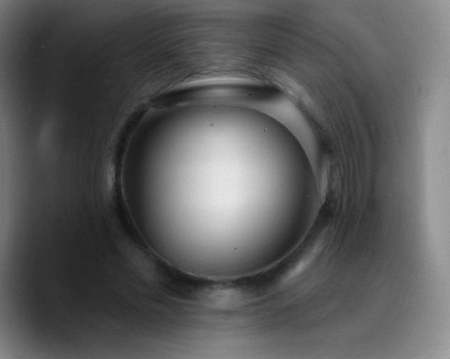 X0000090750589200707201451