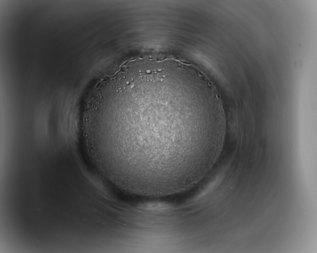 X0000090750590200707201451